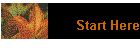 Start Here